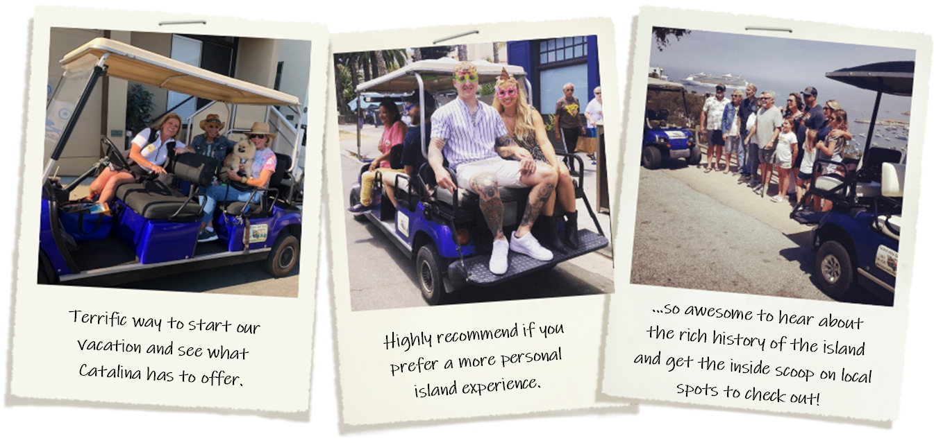 catalina island golf cart rental tours