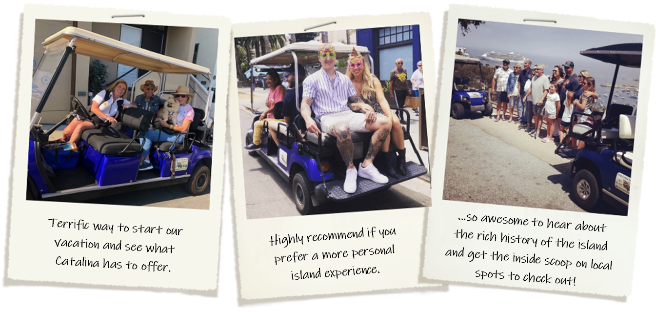 SCATTER88 LOGIN # Come ride with Catalina Island Guided Golf Cart Tours!